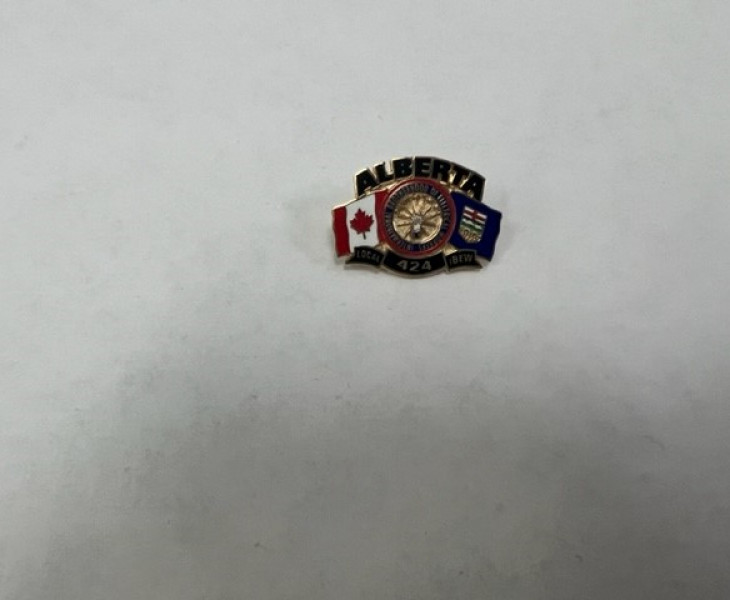 Pin- Flags